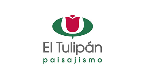 plata-el-tulipan-festival-barroco
